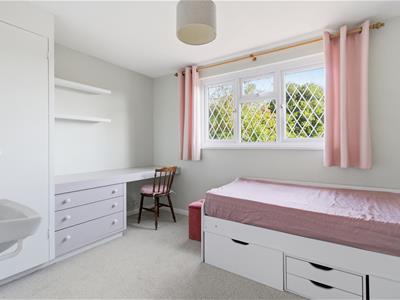 Picture 16